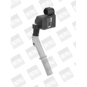 Kühlerlüfter LE055 von BERU günstig für 125,26 € online kaufen