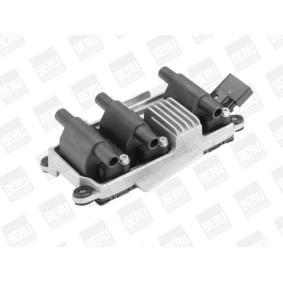 Kühlerlüfter LE504 von BERU günstig für 78,20 € online kaufen