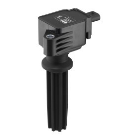 Kühlerlüfter LE576 von BERU günstig für 122,90 € online kaufen