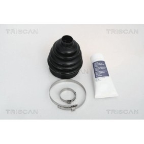 Achetez des Joint de culasse TRISCAN 501-2560 à prix pour 66,51 €