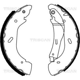 Bremsbackensatz von TRISCAN