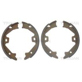 Comprar Zapata de freno de mano de TRISCAN 8100 17011 a bajo precio de 38,95 €