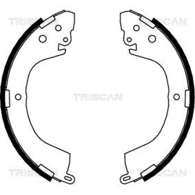 Bremsbackensatz von TRISCAN