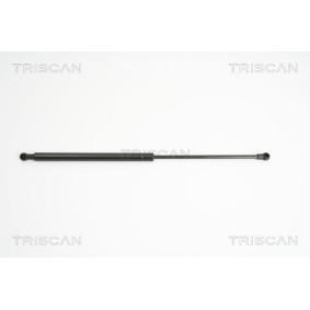 Acquista Kit pastiglie freni da TRISCAN 8110 10507 a buon mercato per soli 27,06 €