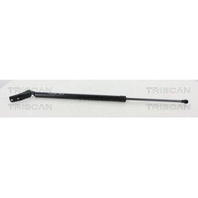 Acquista Kit pastiglie freni da TRISCAN 8110 10587 a buon mercato per soli 46,38 €