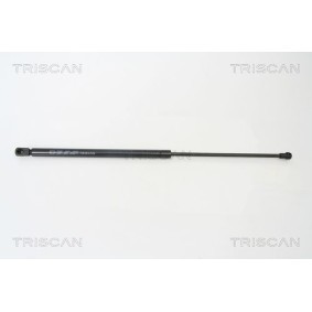 Comprar Juego de pastillas de freno de TRISCAN 8110 21010 a bajo precio de 22,90 €