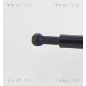 Köp Bromsbelägg av TRISCAN 8110 42023 till det låga priset 475,44 kr