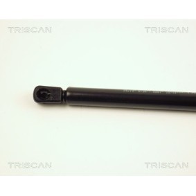 Comprar Disco de freno de TRISCAN 8120 101022 a bajo precio de 46,15 €