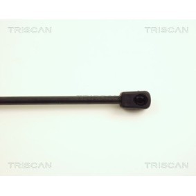 Bremsscheibe von TRISCAN