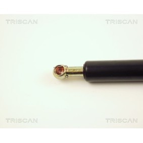 Bremsscheibe von TRISCAN