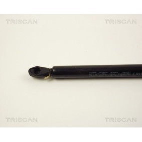 Bremsscheibe von TRISCAN