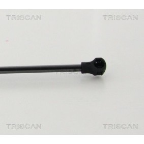 Köp Bromsskiva av TRISCAN 8120 111032 till det låga priset 715,21 kr