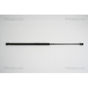 Bremsscheibe von TRISCAN