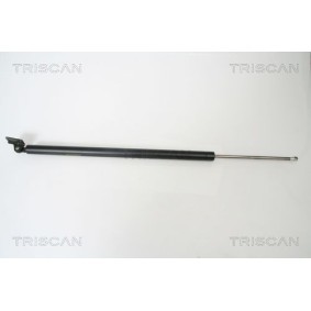 Bremsscheibe von TRISCAN