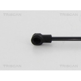 Bremsscheibe von TRISCAN