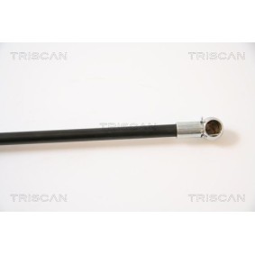 LAND ROVER Bremsscheibe von TRISCAN