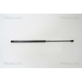 Comprar Disco de freno de TRISCAN 8120 21106 a bajo precio de 32,12 €