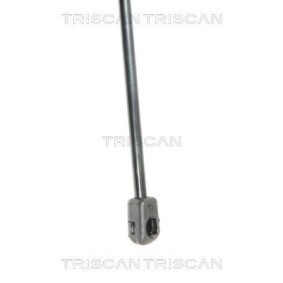 Comprar Disco de freno de TRISCAN 8120 21108 a bajo precio de 23,30 €