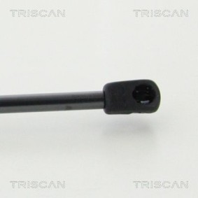 Bremsscheibe von TRISCAN