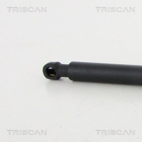 Bremsscheibe von TRISCAN