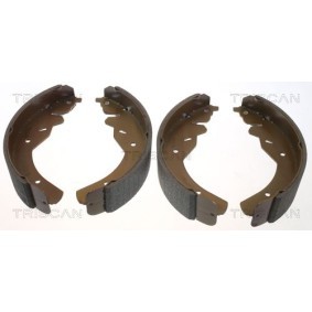 Bremsscheibe von TRISCAN