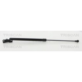 Bremsscheibe von TRISCAN