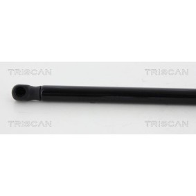 Bremsscheibe von TRISCAN