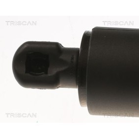 Bremstrommel von TRISCAN 8120 41201