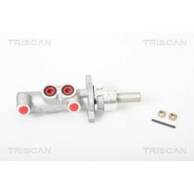 Hauptbremszylinder von TRISCAN