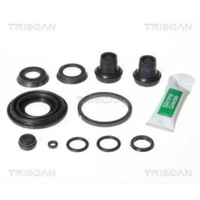 Comprar Juego de reparación, pinza de freno de TRISCAN 8170 203846 a bajo precio de 18,93 €