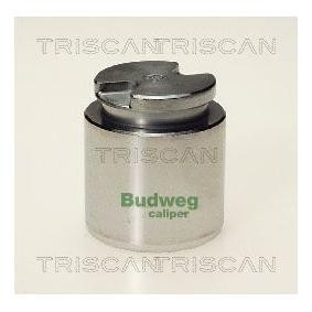 Kolben, Bremssattel 8170 233506