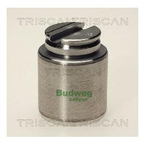 Kolben, Bremssattel 8170 233605