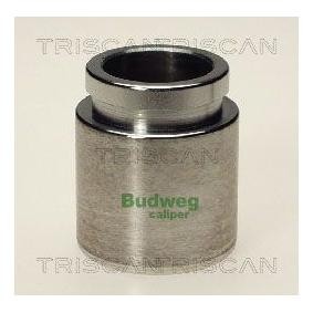 Kolben, Bremssattel 8170 233819