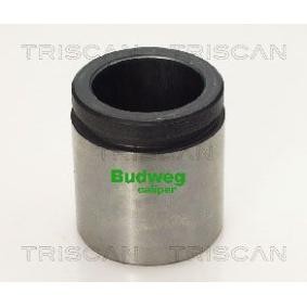 Kolben, Bremssattel 8170 234224