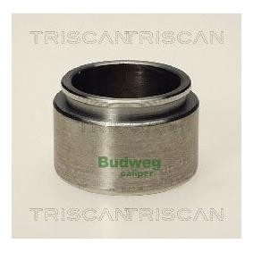 Køb Stempel, bremsekaliper af TRISCAN 8170 234317 til den lave pris 195,14 DKK