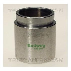 Comprar Émbolo, pinza del freno de TRISCAN 8170 234328 a bajo precio de 23,36 €