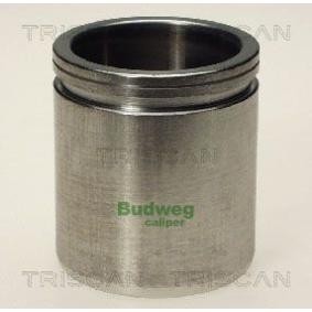 Kolben, Bremssattel 8170 234511