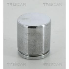 Kolben, Bremssattel 8170 234613