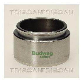 Køb Stempel, bremsekaliper af TRISCAN 8170 234801 til den lave pris 165,06 DKK