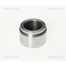 Kolben, Bremssattel 8170 234808