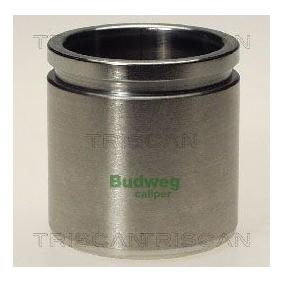 Kolben, Bremssattel 8170 234842