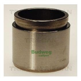 Kolben, Bremssattel 8170 235106