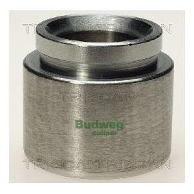 Kolben, Bremssattel 8170 235436
