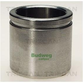 Kolben, Bremssattel 8170 235454