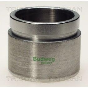 Kolben, Bremssattel 8170 236010