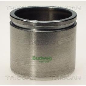 Køb Stempel, bremsekaliper af TRISCAN 8170 236011 til den lave pris 273,78 DKK