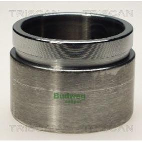 Kolben, Bremssattel 8170 236701
