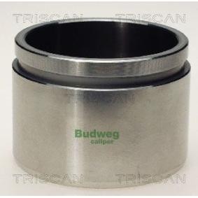 Kolben, Bremssattel 8170 236801