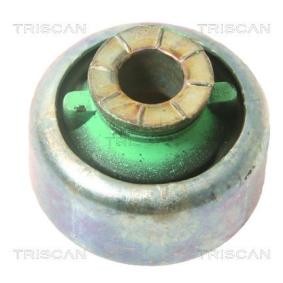 Lagerung, Lenker von TRISCAN
