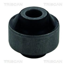 Lagerung, Lenker von TRISCAN